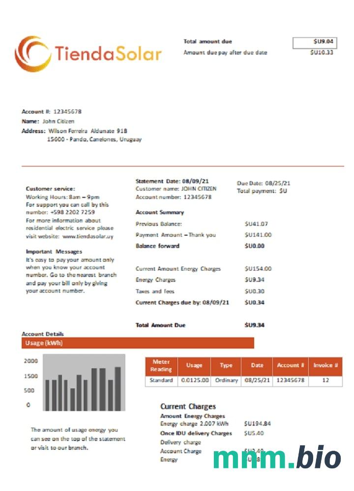 Urugwaj tiendasolar rachunek za media szablon w formacie Word i PDF